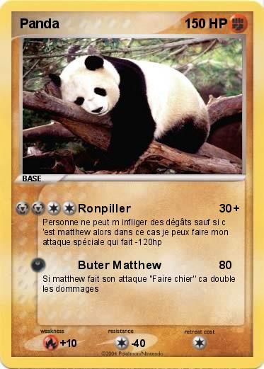 Pokemon Panda