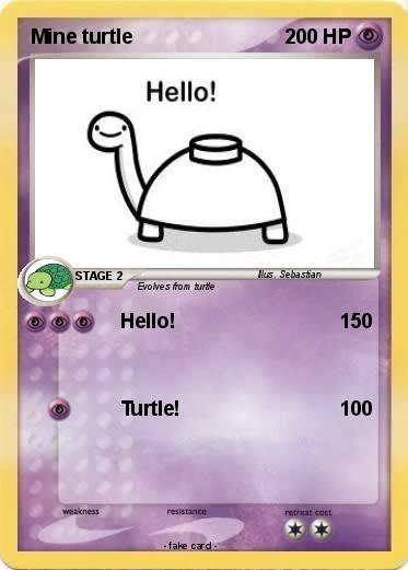 Pokemon Mine turtle