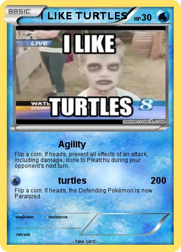 Pokemon I LIKE TURTLES