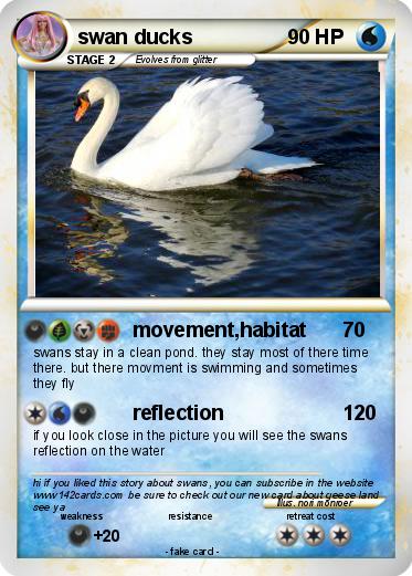 Pokemon swan ducks