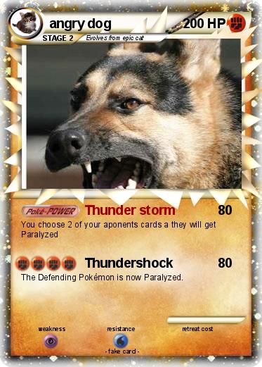 Pokemon angry dog