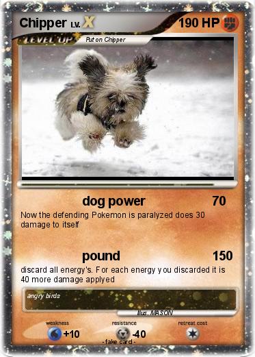 Pokemon Chipper