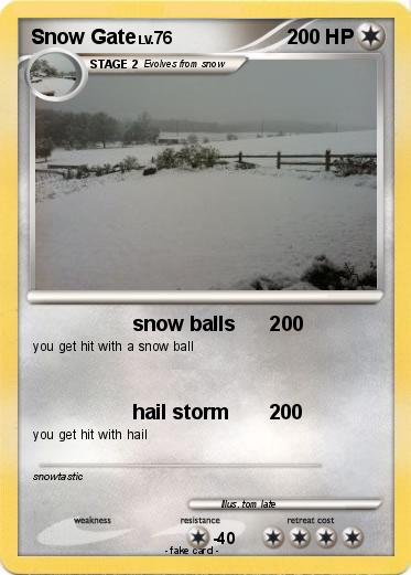 Pokemon Snow Gate