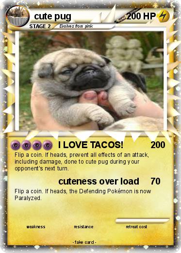 Pokemon cute pug