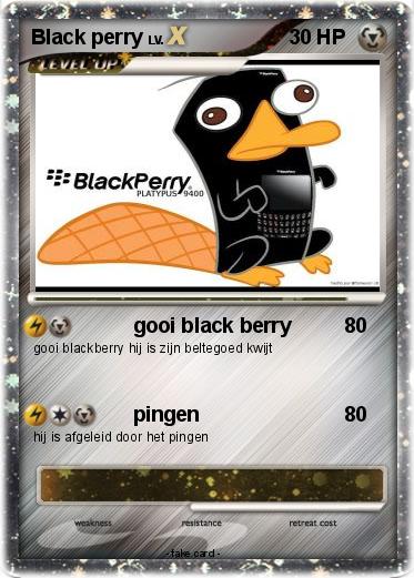 Pokemon Black perry