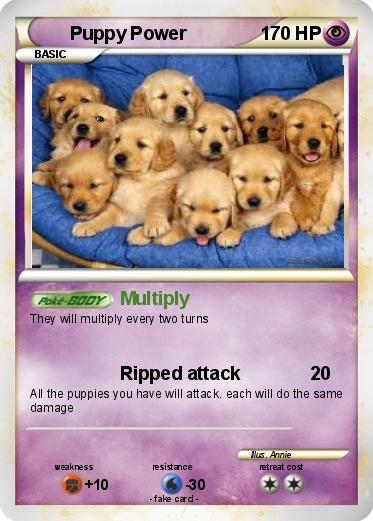 Pokemon Puppy Power