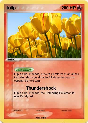 Pokemon tulip