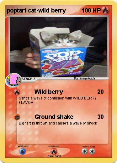 Pokemon poptart cat-wild berry