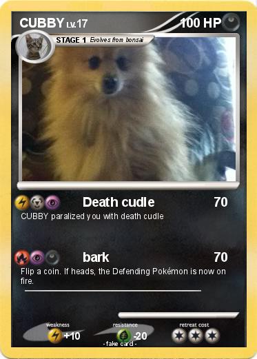 Pokemon CUBBY