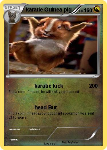Pokemon karatie Guinea pig