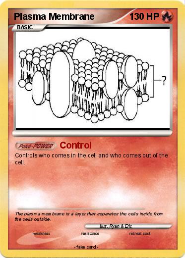 Pokemon Plasma Membrane