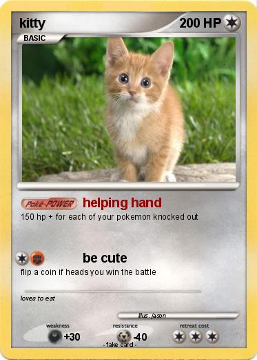 Pokemon kitty