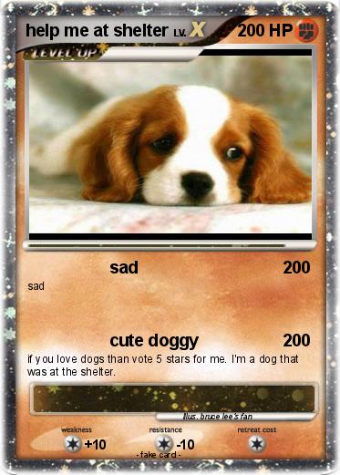 Pokemon help me at shelter