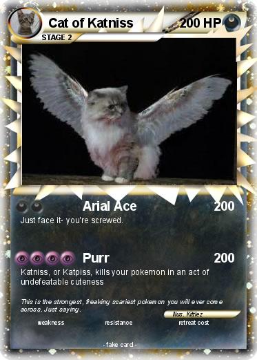 Pokemon Cat of Katniss