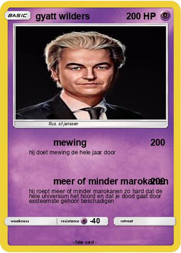 Pokemon gyatt wilders