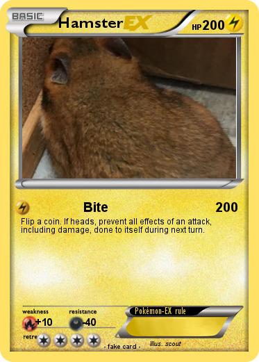 Pokemon Hamster
