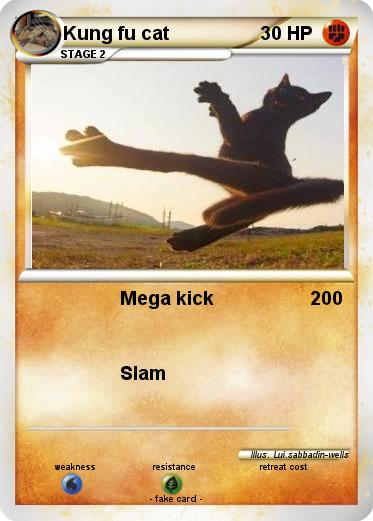 Pokemon Kung fu cat