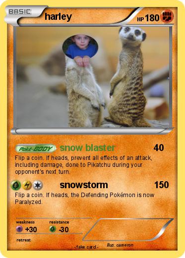 Pokemon harley