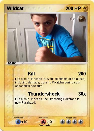 Pokemon Wildcat