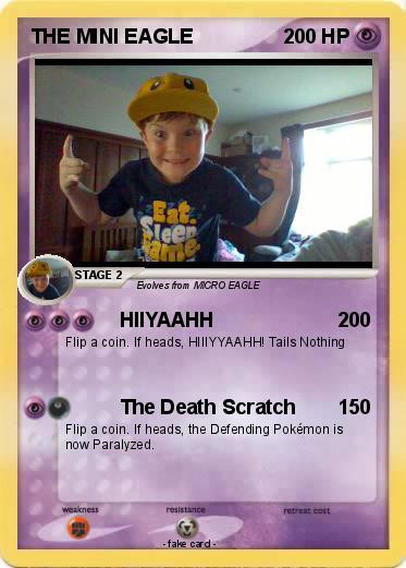 Pokemon THE MINI EAGLE