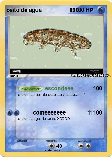 Pokemon osito de agua                  800