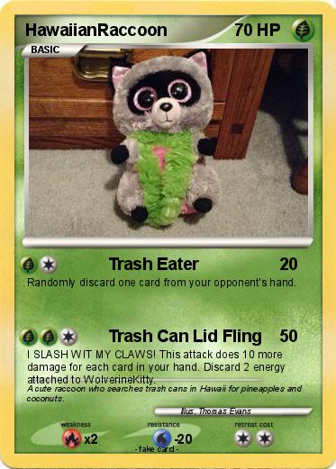 Pokemon HawaiianRaccoon