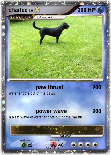 Pokemon charlee