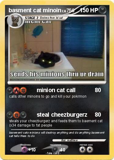Pokemon basment cat minoin