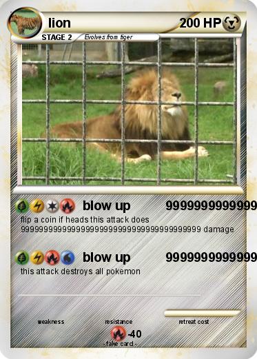 Pokemon lion