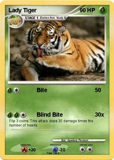 Pokemon Lady Tiger