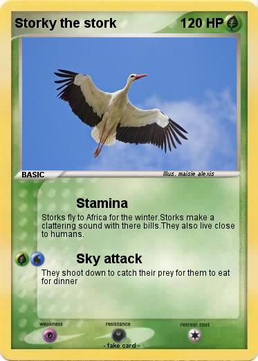 Pokemon Storky the stork