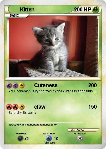 Pokemon Kitten