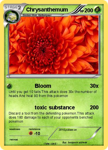Pokemon Chrysanthemum