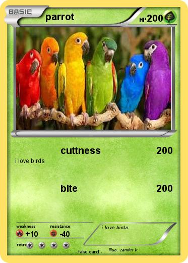 Pokemon parrot