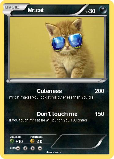 Pokemon Mr.cat