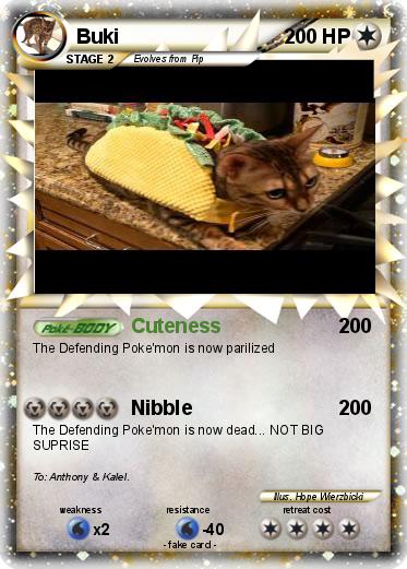 Pokemon Buki