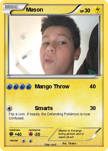 Pokemon Mason