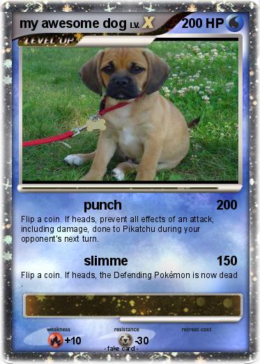 Pokemon my awesome dog