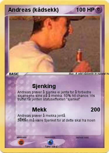 Pokemon Andreas (kådsekk)