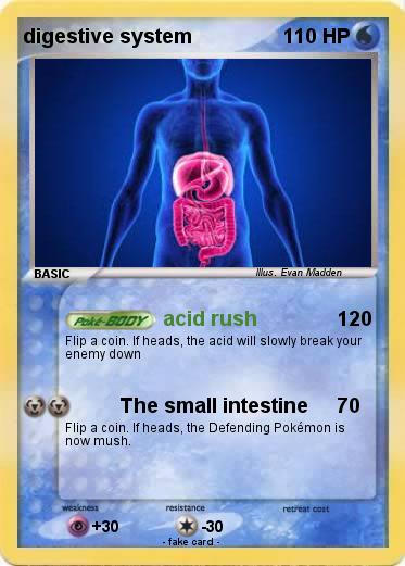 Pokemon digestive system