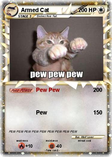 Pokemon Armed Cat