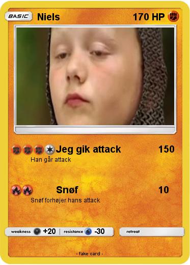 Pokemon Niels