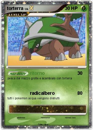 Pokemon torterra