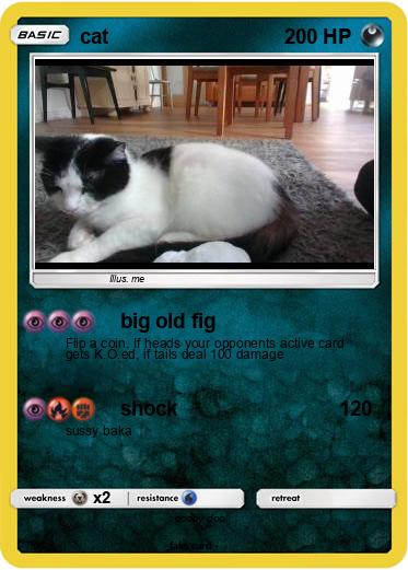 Pokemon cat