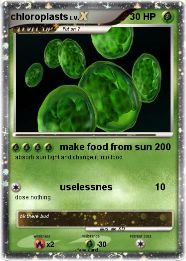 Pokemon chloroplasts