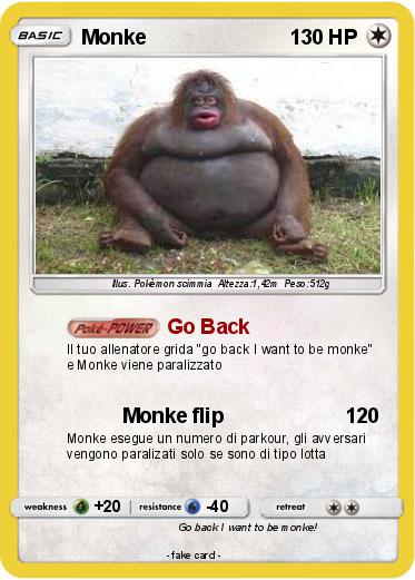 Pokemon Monke