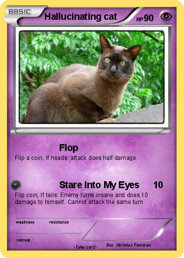 Pokemon Hallucinating cat