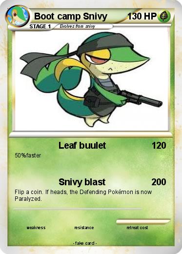 Pokemon Boot camp Snivy