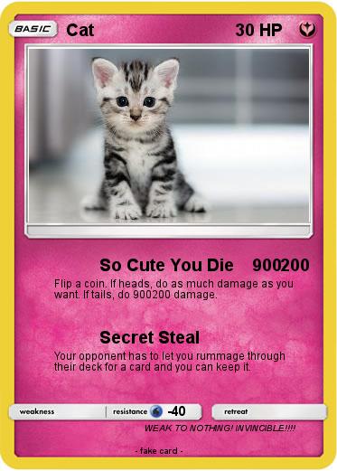 Pokemon Cat