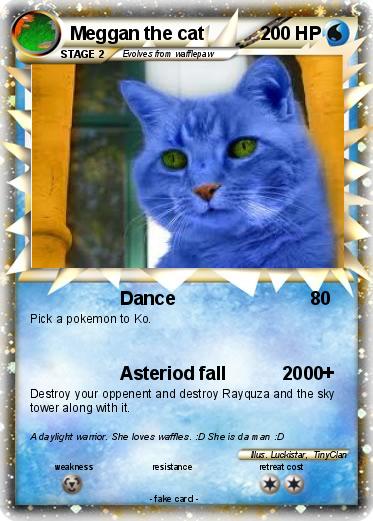 Pokemon Meggan the cat